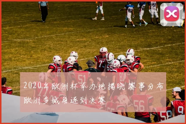 2020年欧洲杯举办地揭晓 赛事分布欧洲多城角逐到决赛