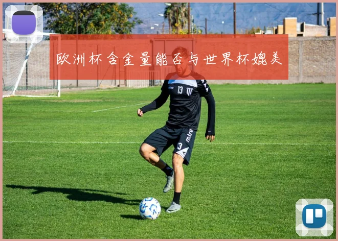欧洲杯含金量能否与世界杯媲美