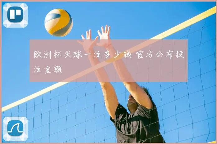 欧洲杯买球一注多少钱 官方公布投注金额