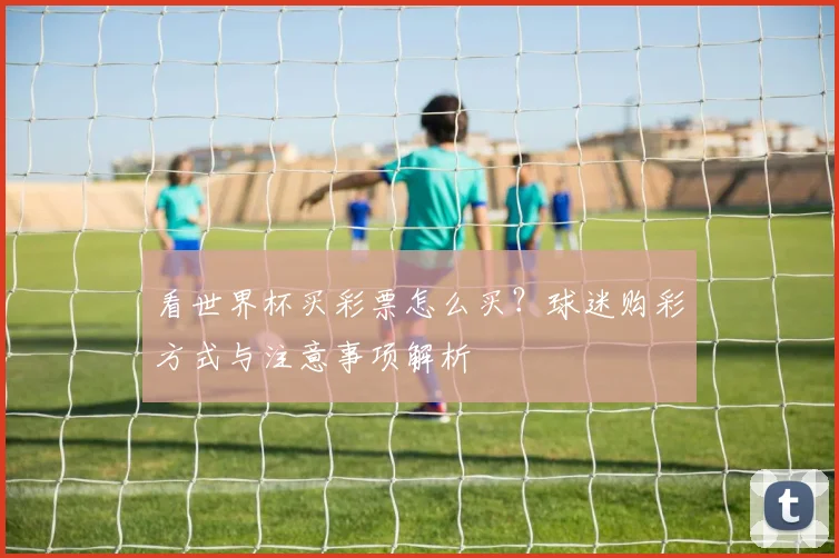 看世界杯买彩票怎么买?球迷购彩方式与注意事项解析