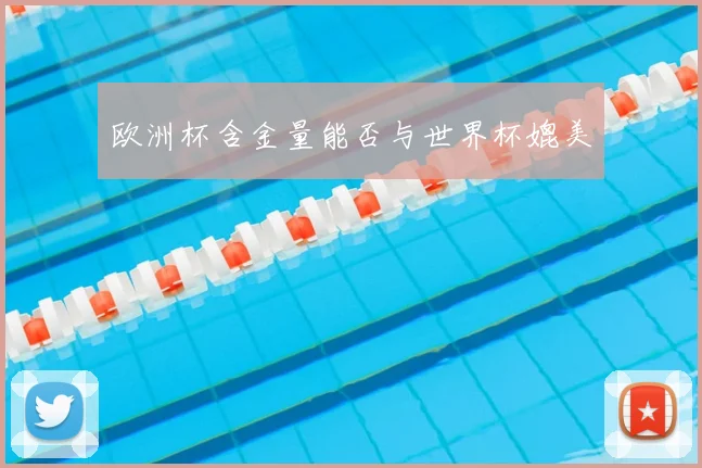 欧洲杯含金量能否与世界杯媲美