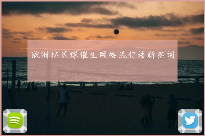 欧洲杯买球催生网络流行语新热词